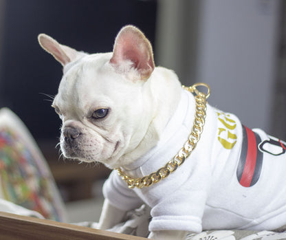 Dog metal big gold chain